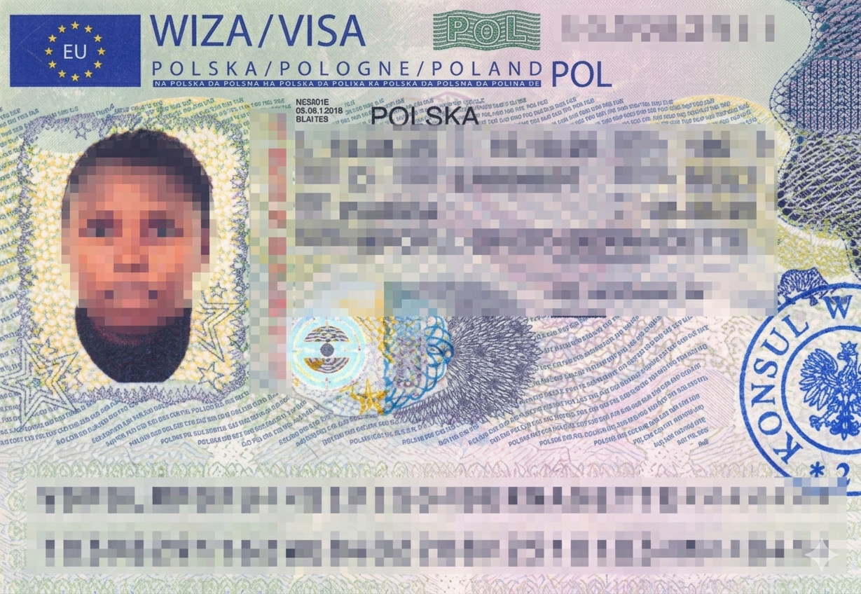 Visa Success